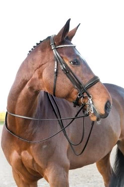 Horze Laelia Kandarenzaum -Reitsportbedarf 10001 BL 02