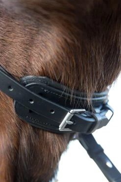 Horze Laelia Kandarenzaum -Reitsportbedarf 10001 BL 05