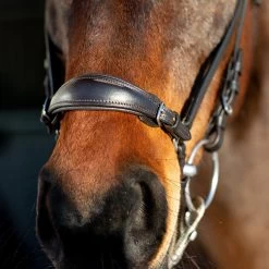 Horze Bergen Remont Trense -Reitsportbedarf 10109 BR 3