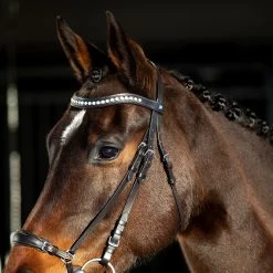 Horze Bergen Remont Trense -Reitsportbedarf 10109 BR 4