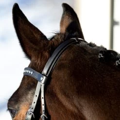 Horze Bergen Remont Trense -Reitsportbedarf 10109 BR 5