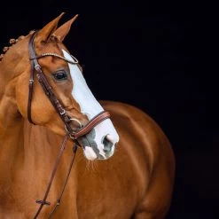 Horze Positano Anatomische Hannoveranische Trense -Reitsportbedarf 10126 BR 3