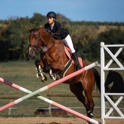 Horze Atlanta Stollenschutz-Sattelgurt Mit Fleecefutter 10 Horze Atlanta Stollenschutz-Sattelgurt Mit Fleecefutter -Reitsportbedarf 14677 DBR 3