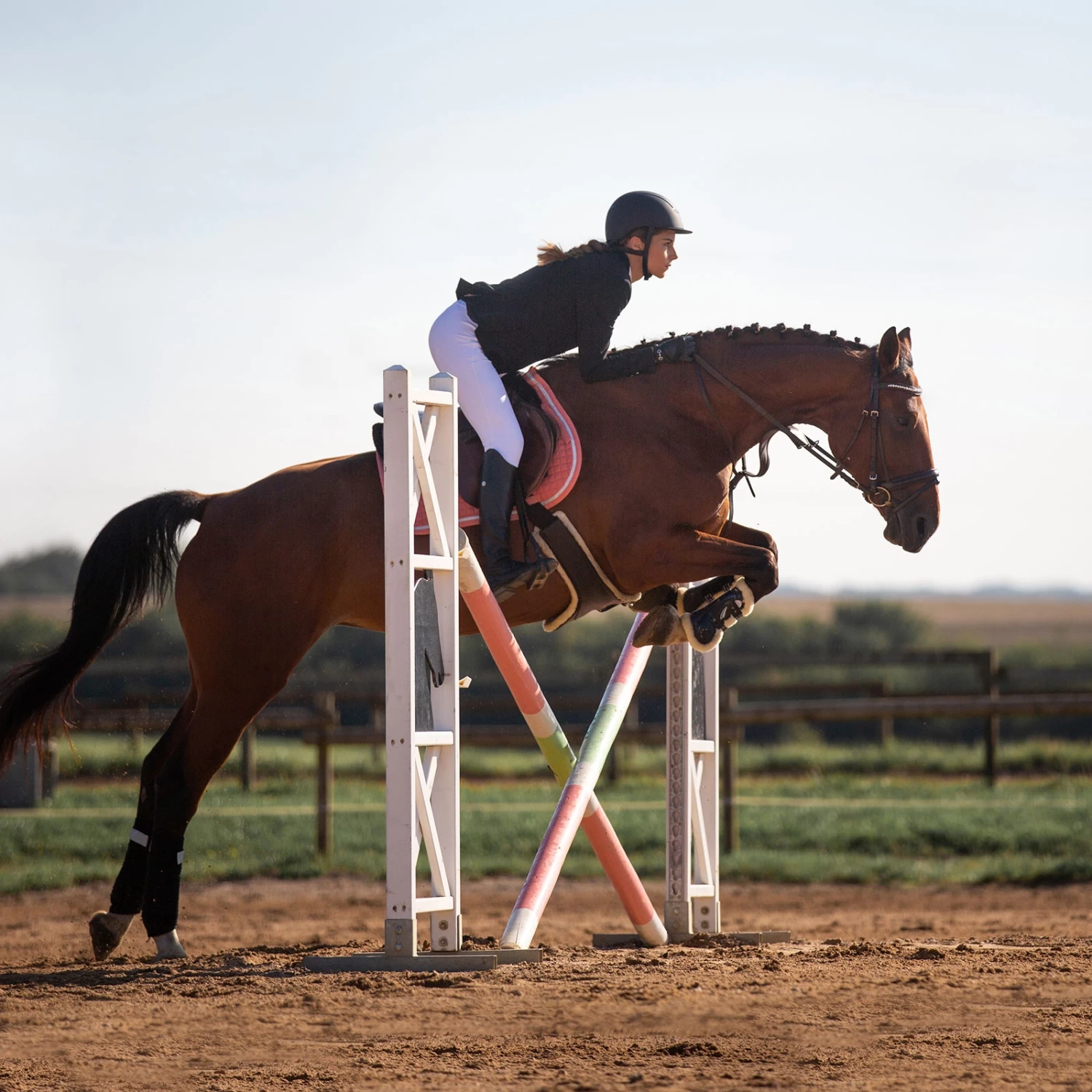 Horze Atlanta Stollenschutz-Sattelgurt Mit Fleecefutter 7 Horze Atlanta Stollenschutz-Sattelgurt Mit Fleecefutter – Bild 5