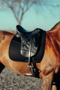 Horze Phoenix Dressurschabracke -Reitsportbedarf 17295 BL 4