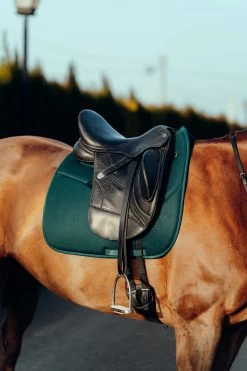 Horze Phoenix Dressurschabracke -Reitsportbedarf 17295 stgr 04