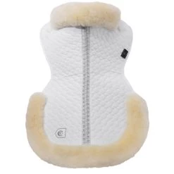 Christ Sattelpad Mit Rand 20 Christ Sattelpad Mit Rand -Reitsportbedarf 17331 WH OWH 2