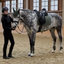 Horze Adepto Vielseitigkeitsschabracke -Reitsportbedarf 17343 BKGR 6