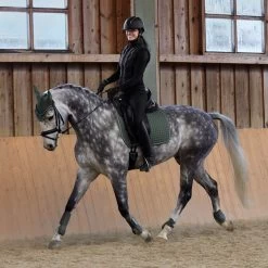 Horze Adepto Vielseitigkeitsschabracke -Reitsportbedarf 17343 BKGR 7