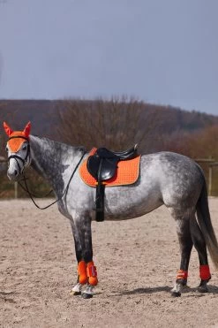 Horze Adepto Vielseitigkeitsschabracke -Reitsportbedarf 17343 cgo 05