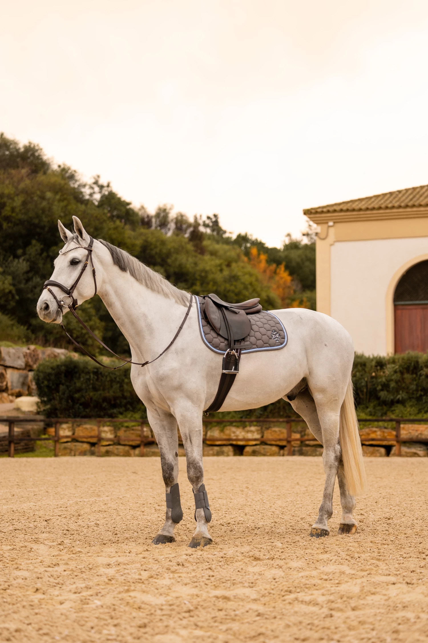 Horze Navajo Vielseitigkeitsschabracke 13 Horze Navajo Vielseitigkeitsschabracke – Bild 11