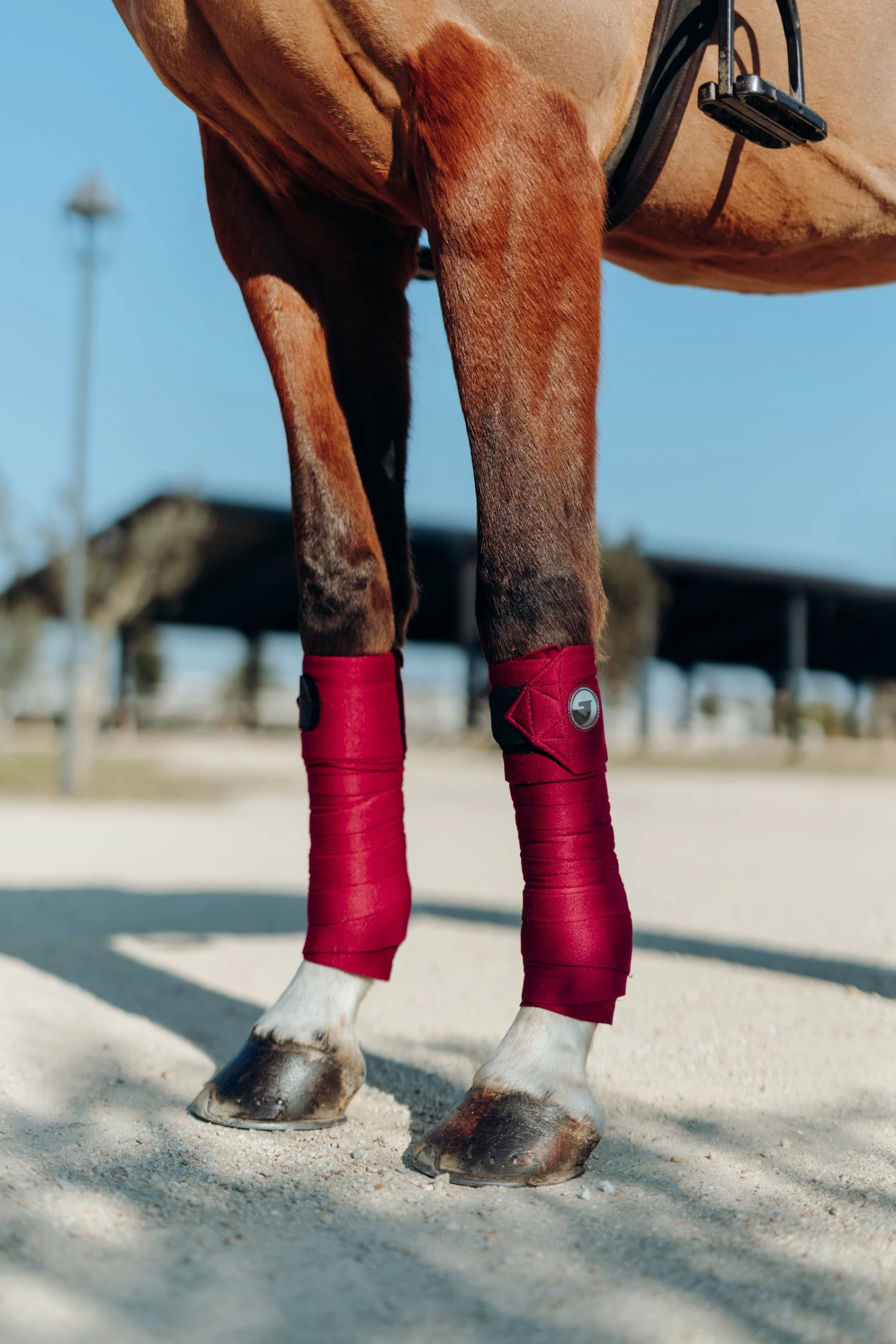 Horze Ella Ponybandagen 4 Horze Ella Ponybandagen – Bild 2