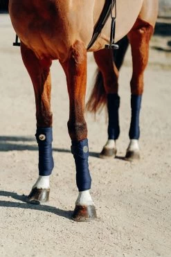 Horze Ella Ponybandagen 10 Horze Ella Ponybandagen -Reitsportbedarf 18258 PDB 2