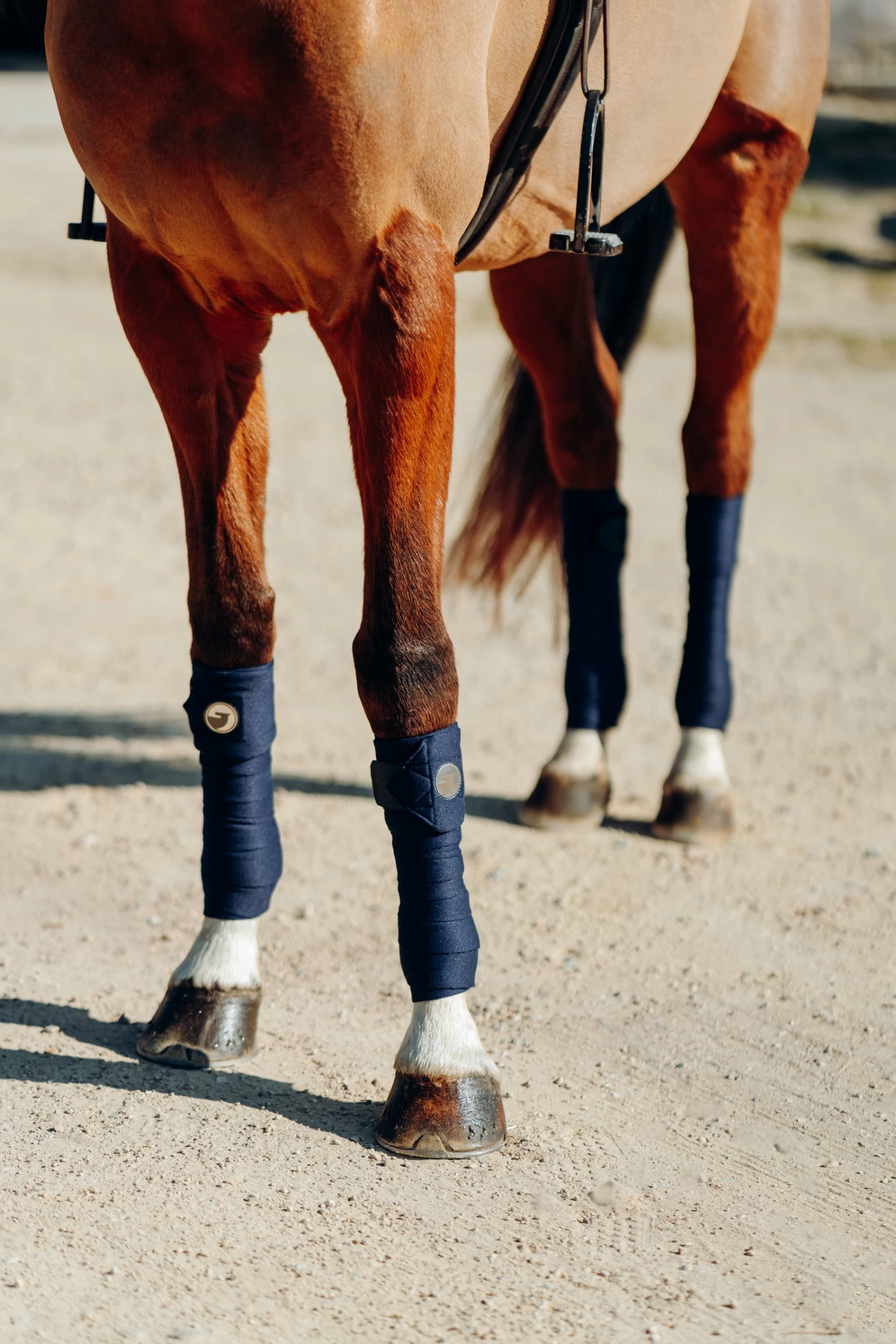 Horze Ella Ponybandagen 6 Horze Ella Ponybandagen – Bild 4