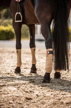 B Vertigo Amory Fleece Bandagen -Reitsportbedarf 18269 WTBE 3