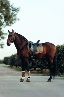 B Vertigo Drew Gamaschen Mit Kunstfellfutter -Reitsportbedarf 19201 UBBR 7