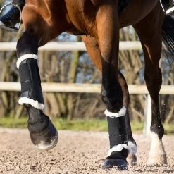 Horze Signature Gamaschen -Reitsportbedarf 19212 BL 2