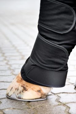 Horze Transportgamaschen -Reitsportbedarf 19506 bl 04