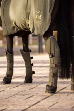 B Vertigo Wellington Transportgamaschen (4er Set) -Reitsportbedarf 19528 630 06