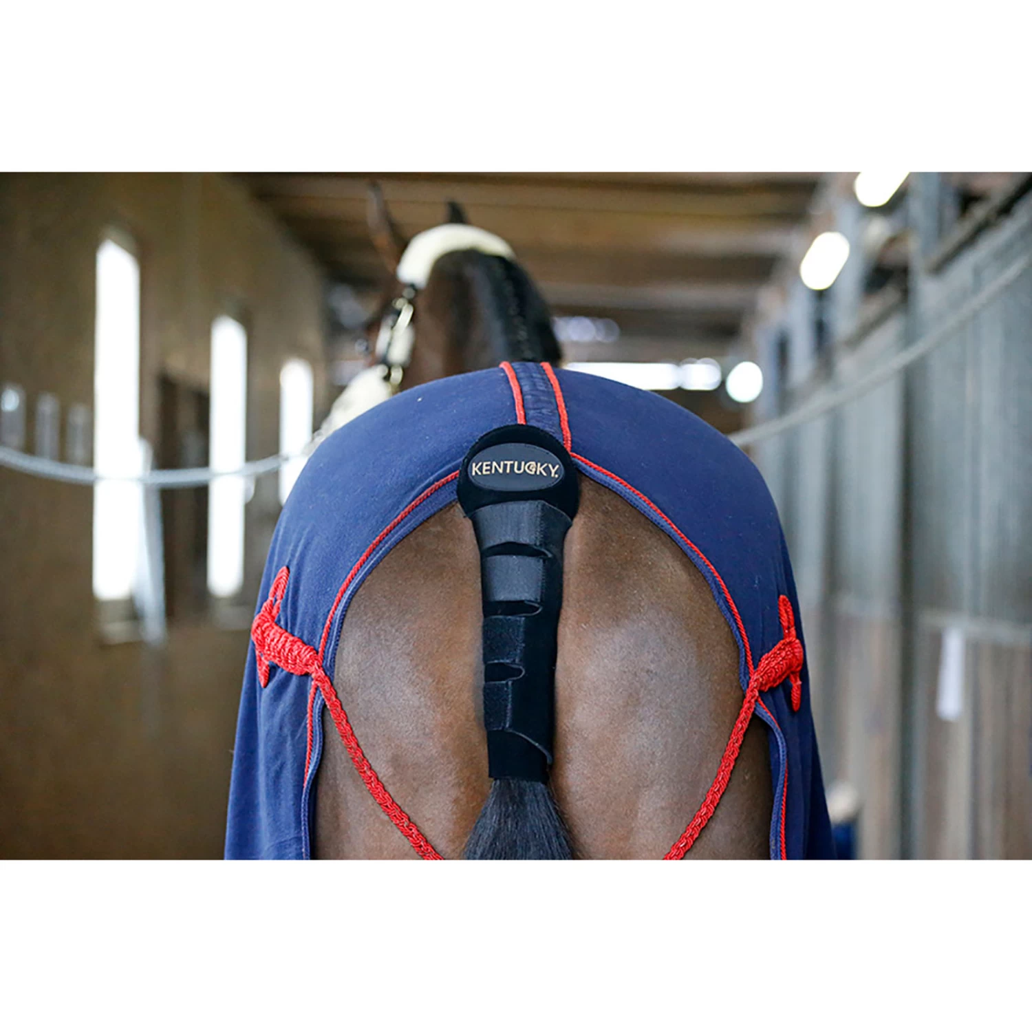 Kentucky Horsewear Schweifschoner / Schweiftasche 7 Kentucky Horsewear Schweifschoner / Schweiftasche – Bild 5