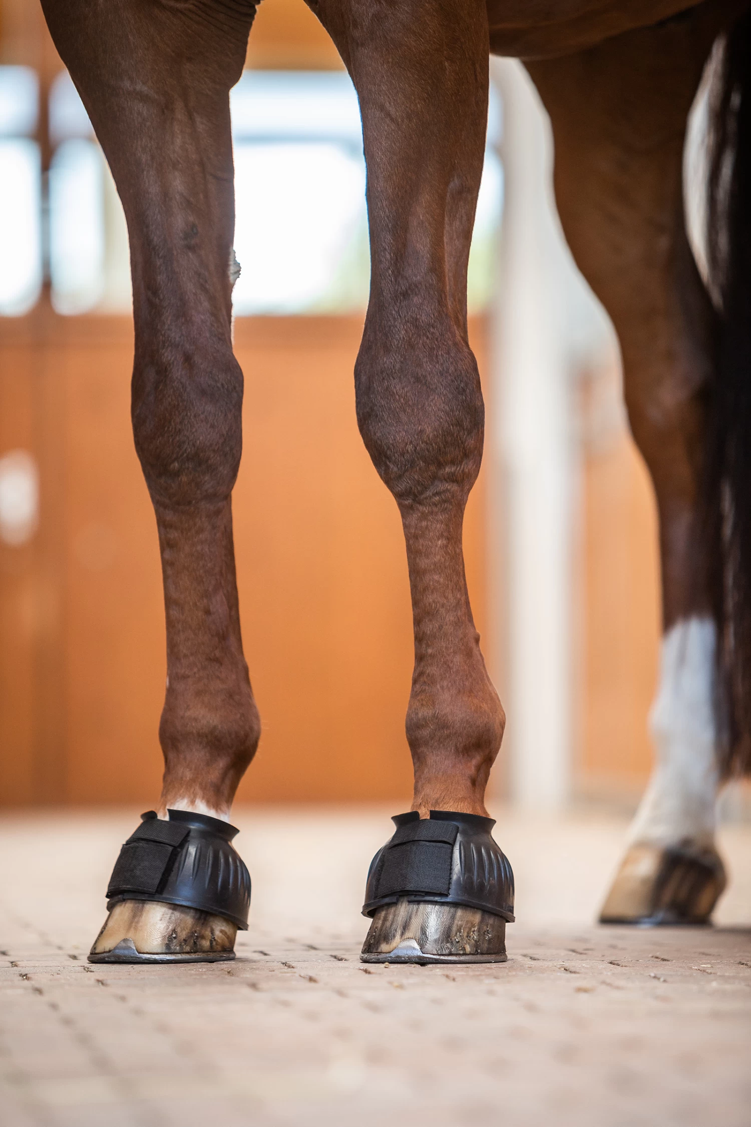 Horze Hufglocken Mit Verdrehsicherung 6 Horze Hufglocken Mit Verdrehsicherung – Bild 4