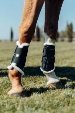 Horze Glänzende Gamaschen 23 Horze Glänzende Gamaschen -Reitsportbedarf 19961 BL 6