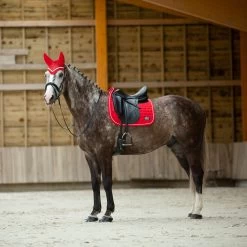 B Vertigo Raxus Fliegenhaube 23 B Vertigo Raxus Fliegenhaube -Reitsportbedarf 22862 LPPI 4