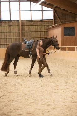 Horze Glarus Fliegenhaube Mit Metallischem Flechtdetail -Reitsportbedarf 22917 bdbr 04