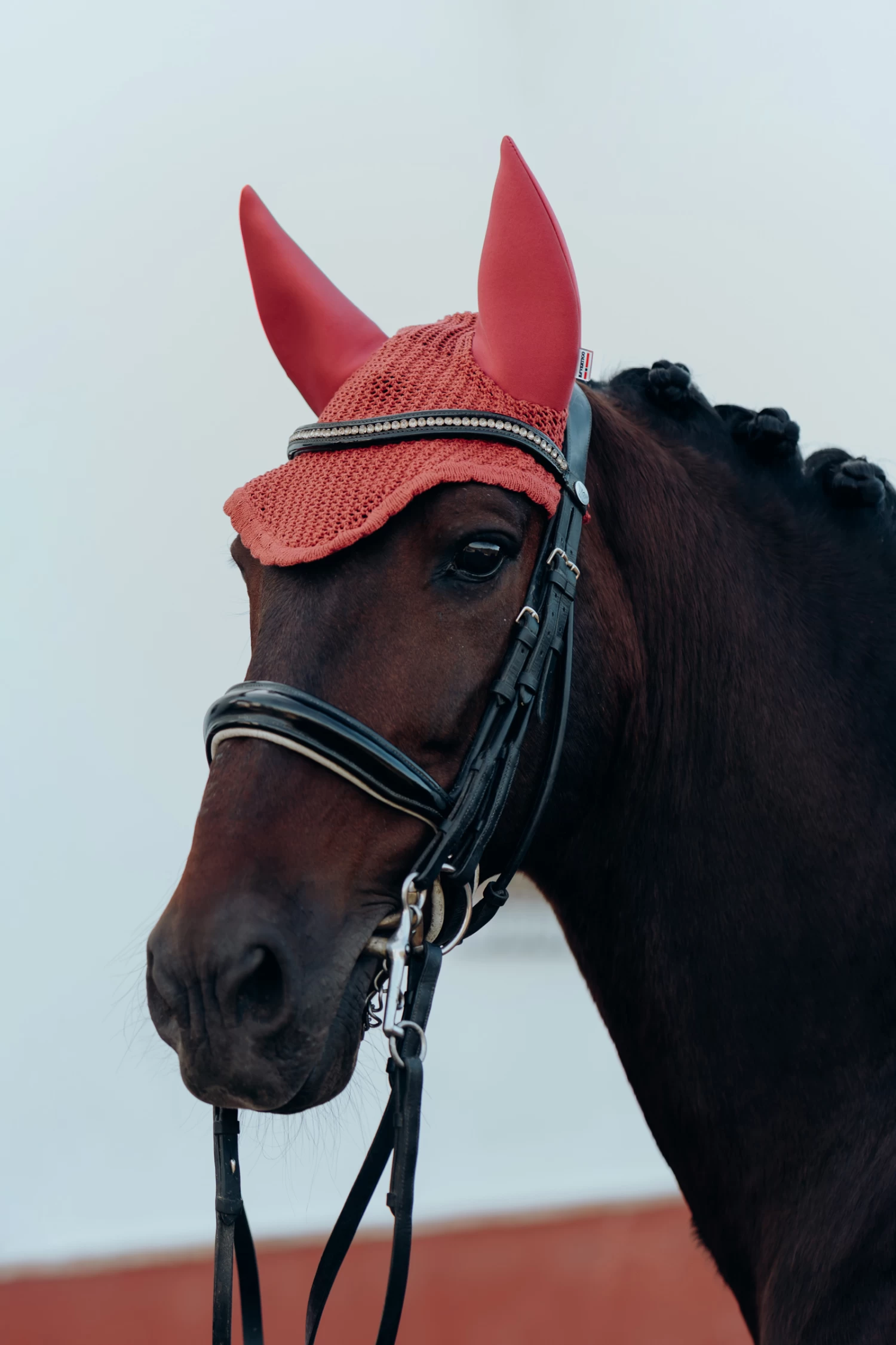 B Vertigo Laurel Fliegenhaube 5 B Vertigo Laurel Fliegenhaube – Bild 3