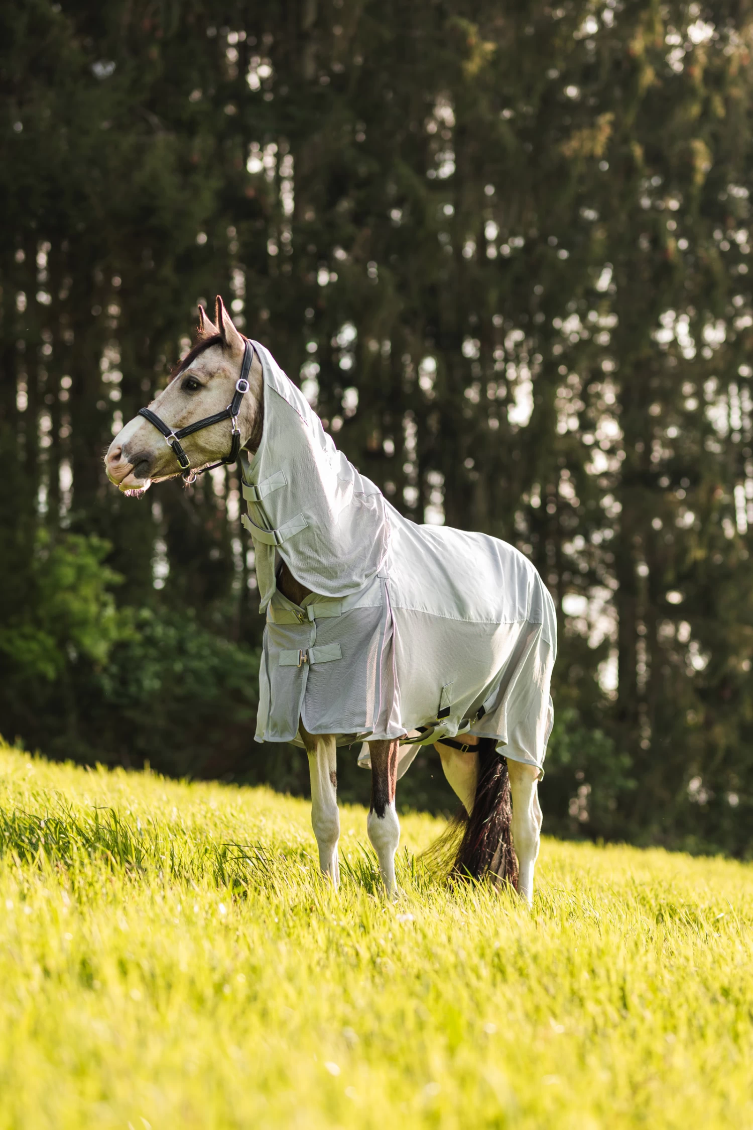 Horze Nevada Combo Regen-/Fliegendecke Mit Abnehmbarem Halsteil 7 Horze Nevada Combo Regen-/Fliegendecke Mit Abnehmbarem Halsteil – Bild 5