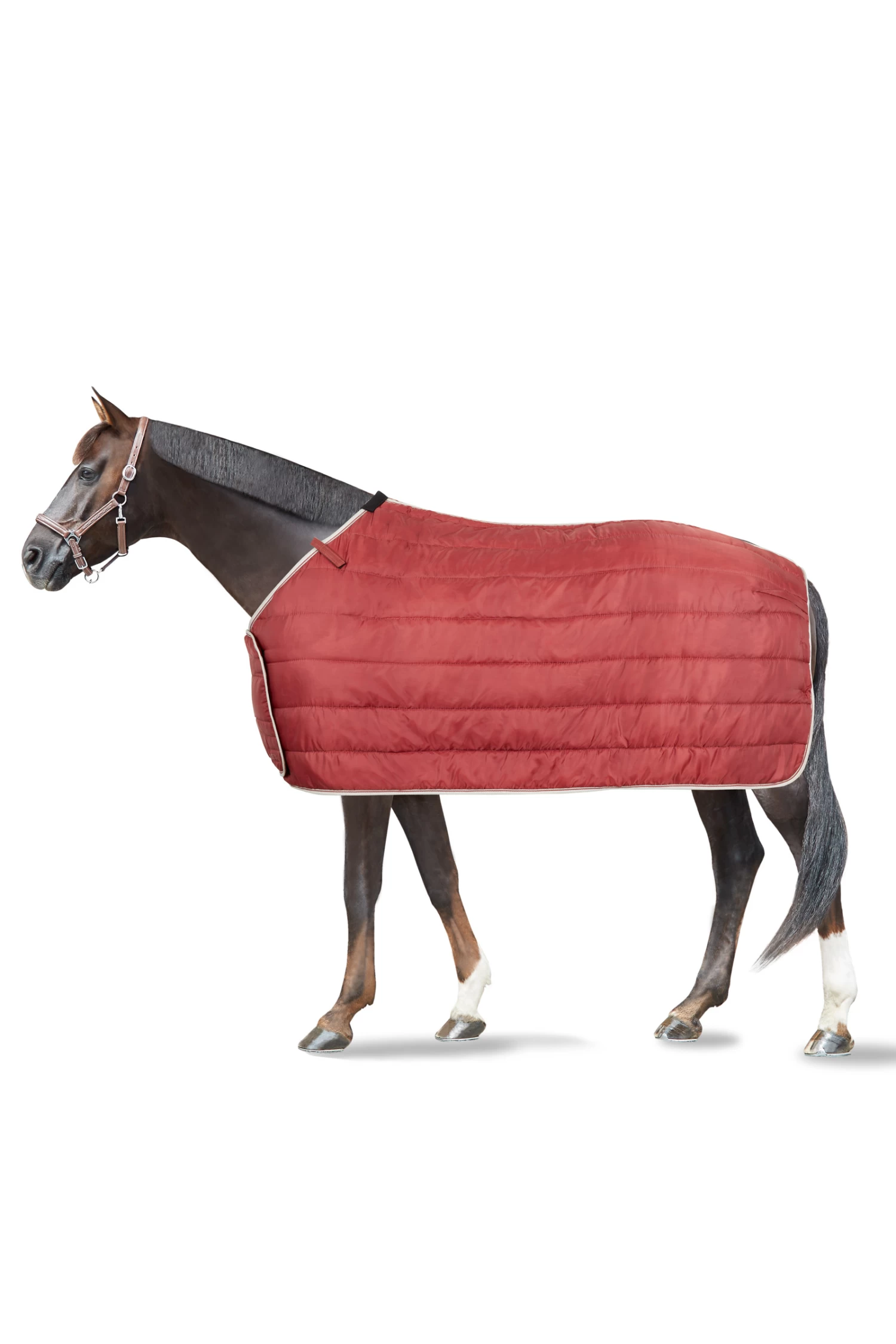 Horze Sudbury 2-in-1 Regendecke, 50g, 100g 4 Horze Sudbury 2-in-1 Regendecke, 50g, 100g – Bild 2