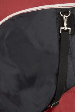 Horze Sudbury 2-in-1 Regendecke, 50g, 100g 13 Horze Sudbury 2-in-1 Regendecke, 50g, 100g -Reitsportbedarf 24093 MSRE 5