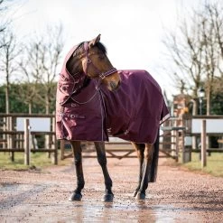 B Vertigo Georgina Weidedecke Mit Abnehmbarem Halsteil, 250g -Reitsportbedarf 24133 WDRE 3