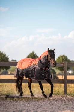 Horze Lucerne Halsteil, 250g 9 Horze Lucerne Halsteil, 250g -Reitsportbedarf 24199 237 04