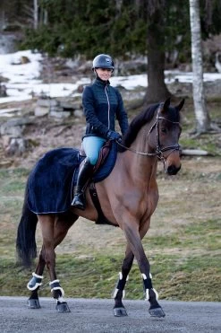 Horze Kingsley Trainingsdecke 7 Horze Kingsley Trainingsdecke -Reitsportbedarf 24302 VDB 03