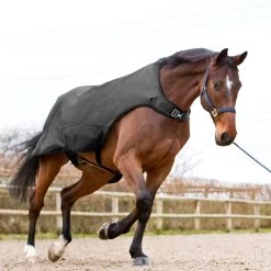 Horze Nevada Führanlagendecke, 200g 10 Horze Nevada Führanlagendecke, 200g -Reitsportbedarf 24331 BL 3