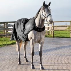 Horze Nevada Führanlagendecke, 200g 12 Horze Nevada Führanlagendecke, 200g -Reitsportbedarf 24331 BL 5