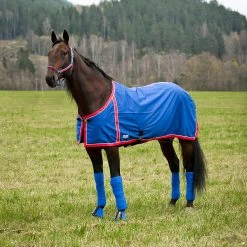 FT Sommerdecke, Enstex -Reitsportbedarf 24370 B RE 1