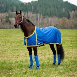 FT Sommerdecke, Enstex -Reitsportbedarf 24370 B YE 1