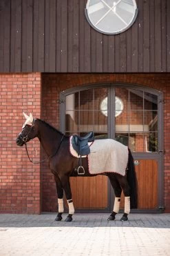 B Vertigo Amory Nierendecke 7 B Vertigo Amory Nierendecke -Reitsportbedarf 24389 WTBE 3