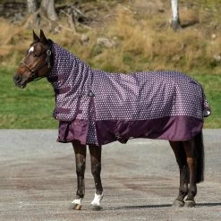 Horze Avalanche Winterdecke Combo 1200D, 350g 38 Horze Avalanche Winterdecke Combo 1200D, 350g -Reitsportbedarf 24566 PRPU AG 1