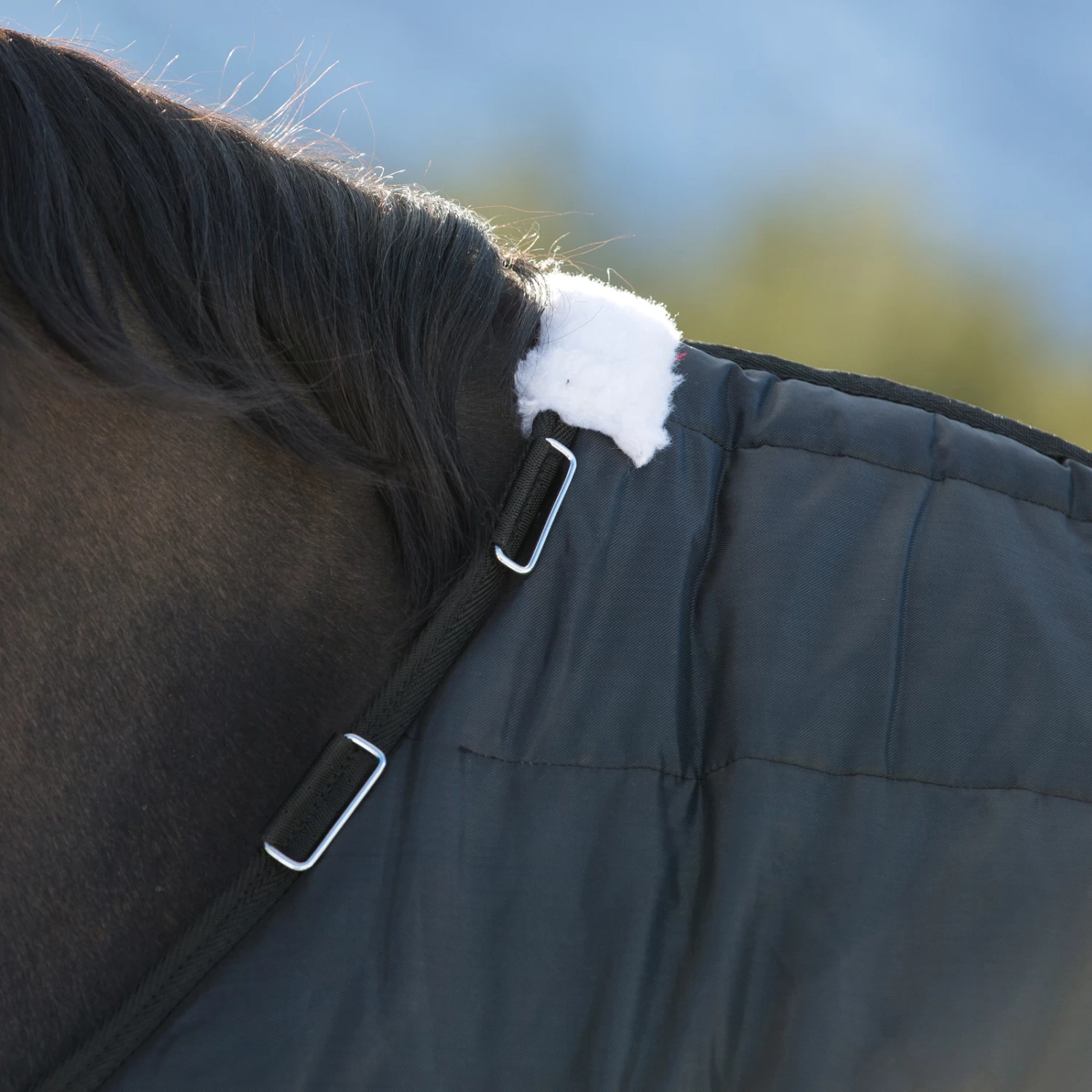 Horze Nevada Stalldecke, 400g 4 Horze Nevada Stalldecke, 400g – Bild 2