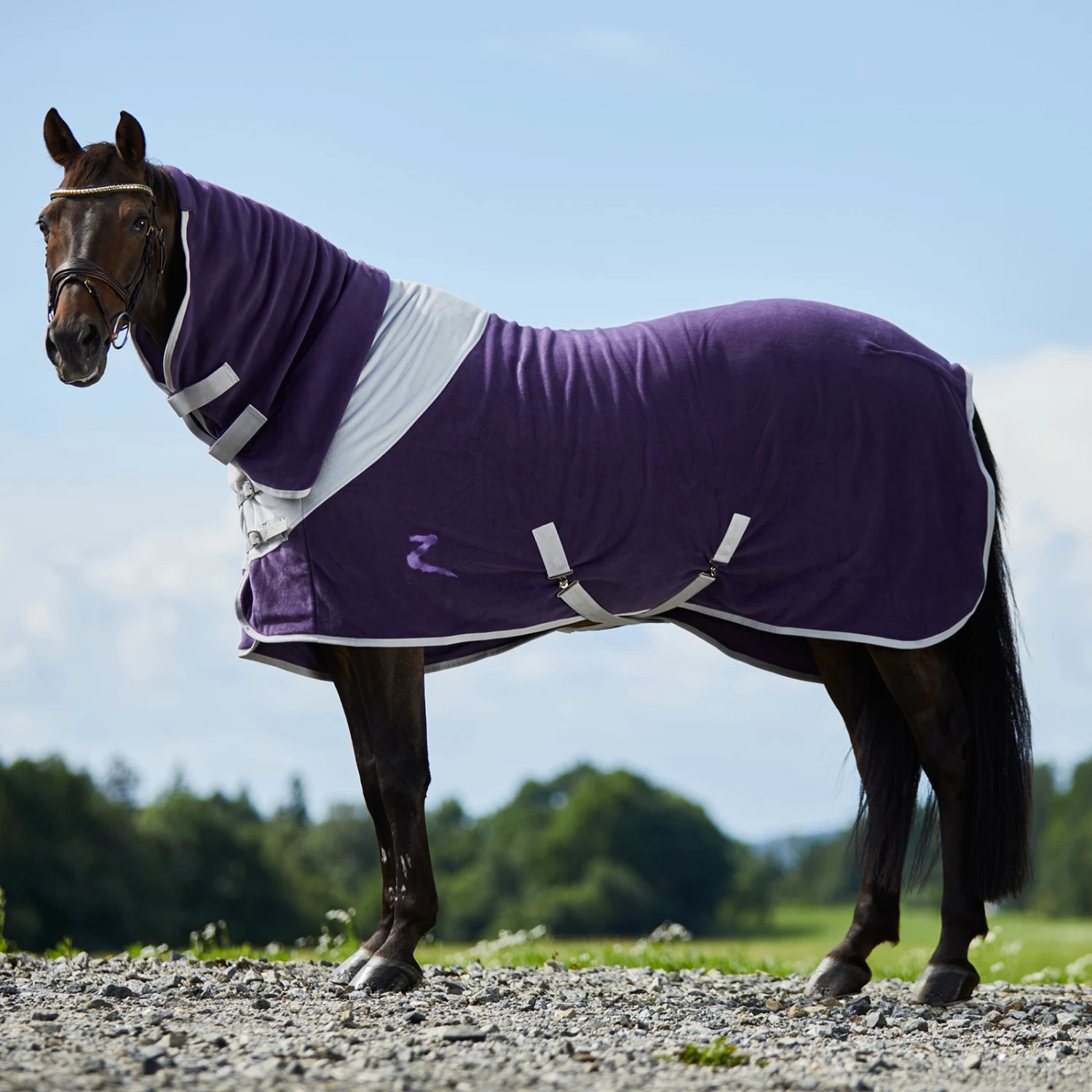 Horze Turin Fleece-Abschwitzdecke Mit Halsteil 7 Horze Turin Fleece-Abschwitzdecke Mit Halsteil – Bild 5