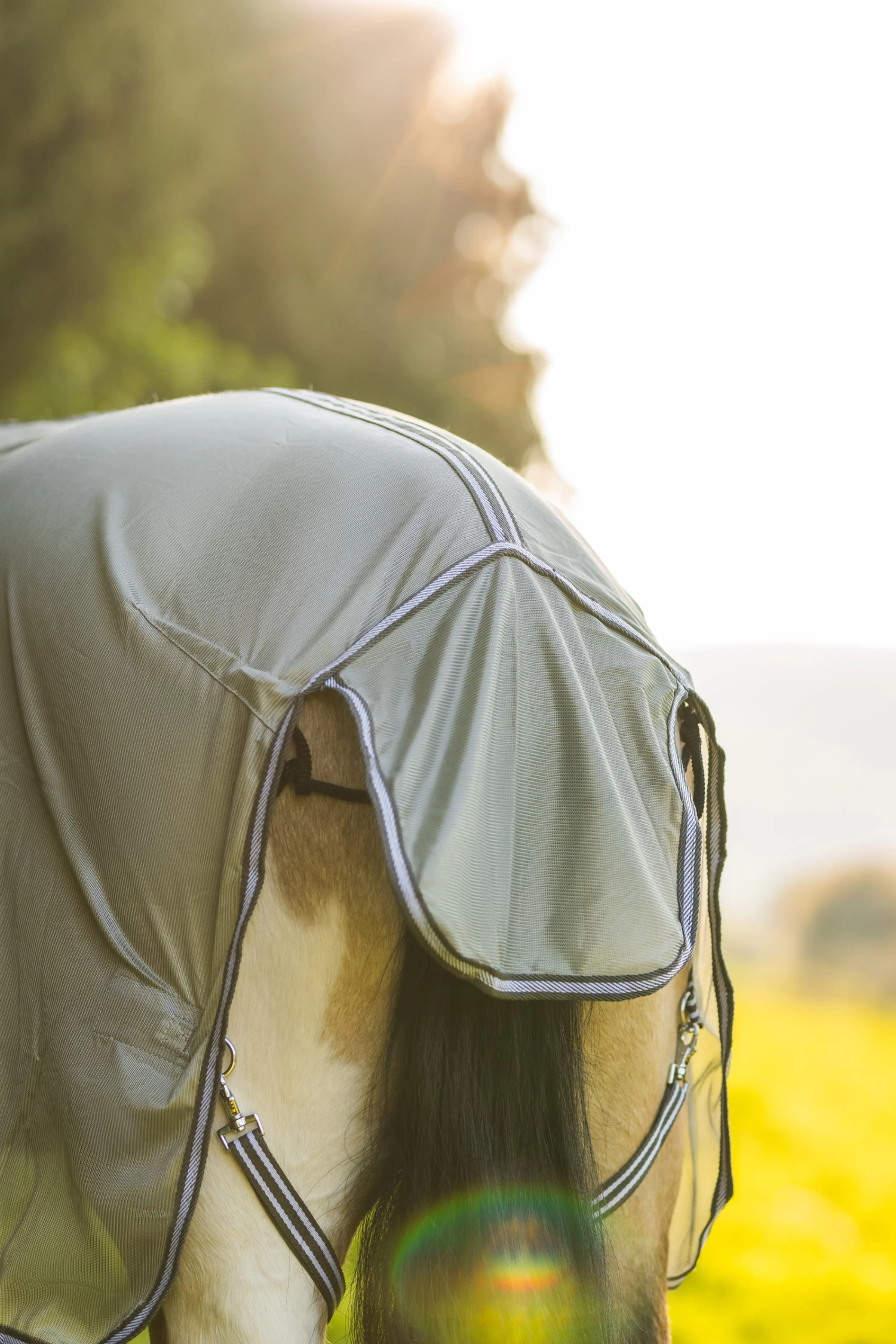 Horze La Pampa Fliegenschutz Set 18 Horze La Pampa Fliegenschutz Set – Bild 16