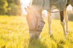 Horze La Pampa Fliegenschutz Set 40 Horze La Pampa Fliegenschutz Set -Reitsportbedarf 24817 g 19