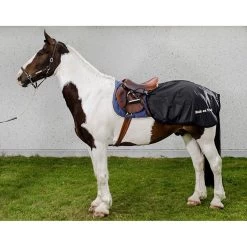 Back On Track Nierendecke