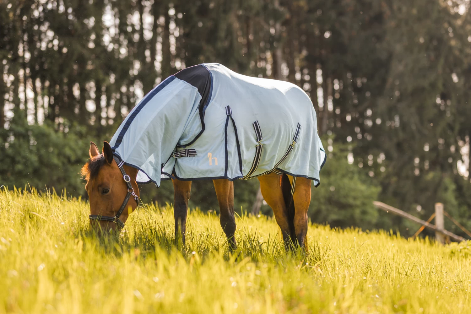 Horze Freja Fliegendecke Mit Halsteil 15 Horze Freja Fliegendecke Mit Halsteil – Bild 13