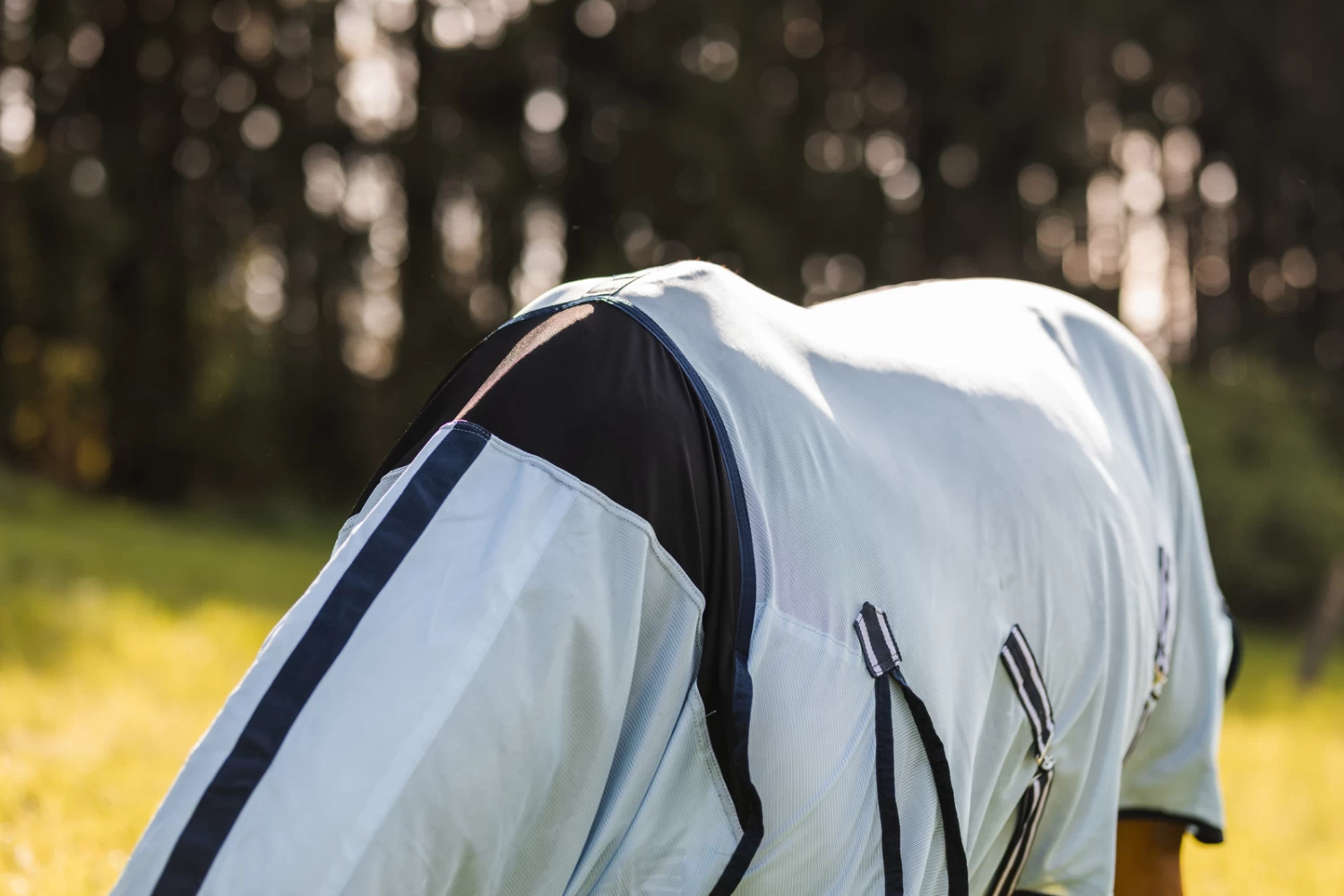 Horze Freja Fliegendecke Mit Halsteil 17 Horze Freja Fliegendecke Mit Halsteil – Bild 15