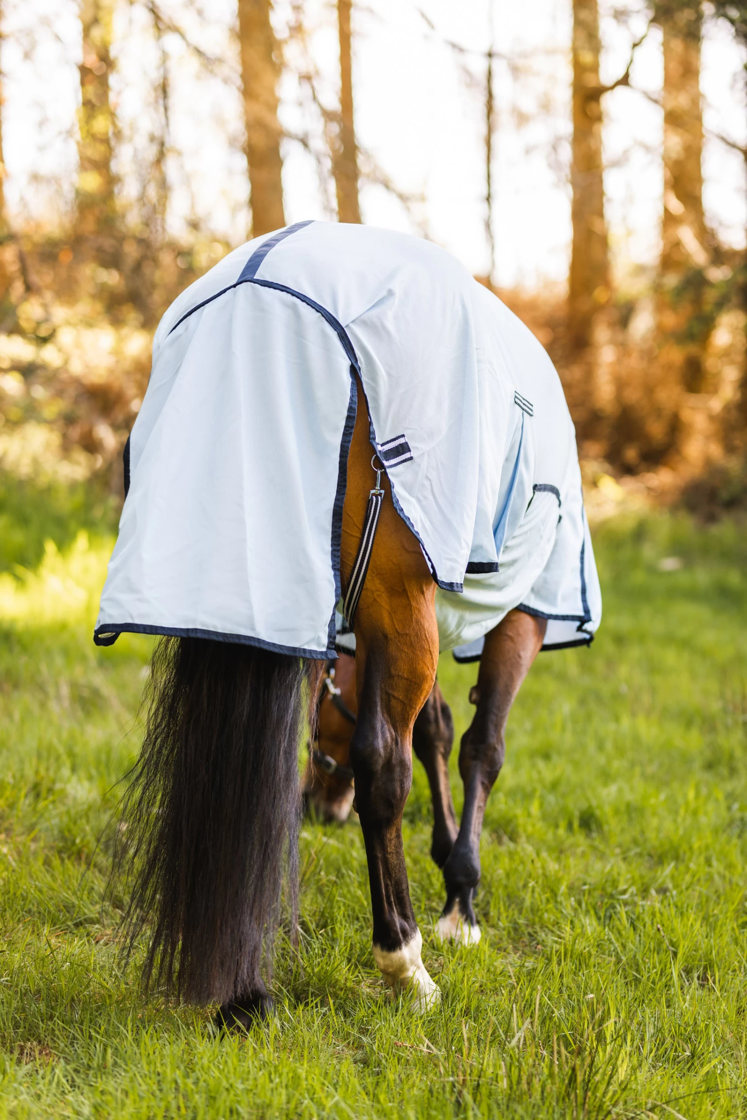 Horze Freja Combo Fliegendecke 15 Horze Freja Combo Fliegendecke – Bild 13