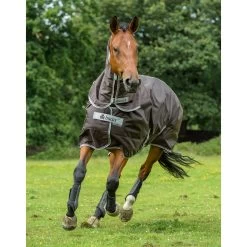 Bucas Smartex Combi Neck, 0g -Reitsportbedarf 24860 BR 2